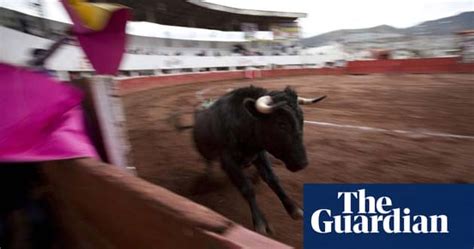 Bullfighting In Mexico World News The Guardian