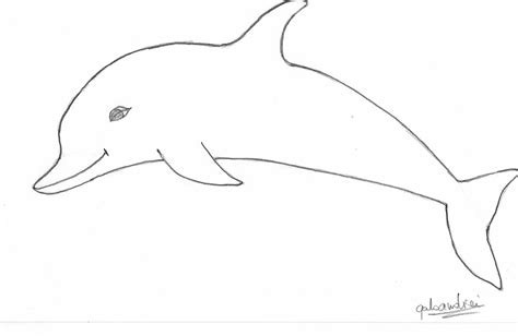 Free Dolphin Drawin Easy Download Free Dolphin Drawin Easy Png Images