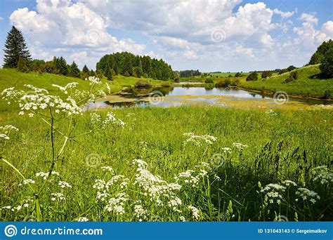 Warm Beautiful Summer Landscape With Lake And Grass A