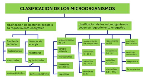 Clasificacion De Los Microorganismos By Martin Vasquez On Prezi