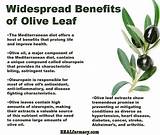 Olive Leaf Tea Health Benefits Images