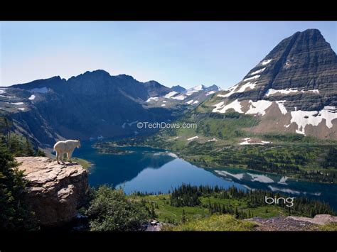 Free Download Bing Screensaver That Changes Each Day 1024x598 For