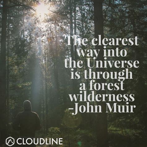 Https://tommynaija.com/quote/quote From John Muir