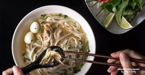 Pressure cooker chicken noodle soup: Chicken Noodle Soup In Power Quickpot : There are three ...