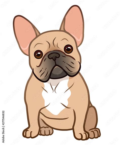 French Bulldog Cute Sitting Puppy With Funny Head Tilt Vector Cartoon