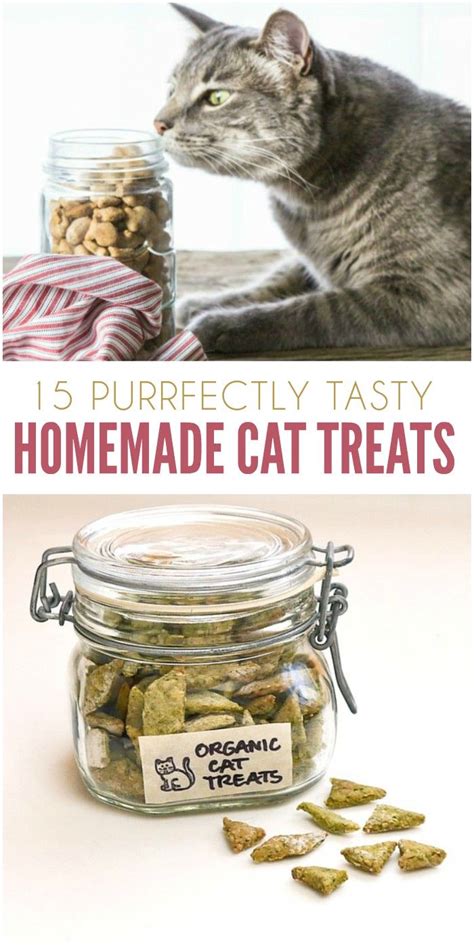 Even the best cat foods involve extra processing and adding artificial preservatives. 15 Purrfect Homemade Cat Treats to Spoil Your Kitty | Diy ...