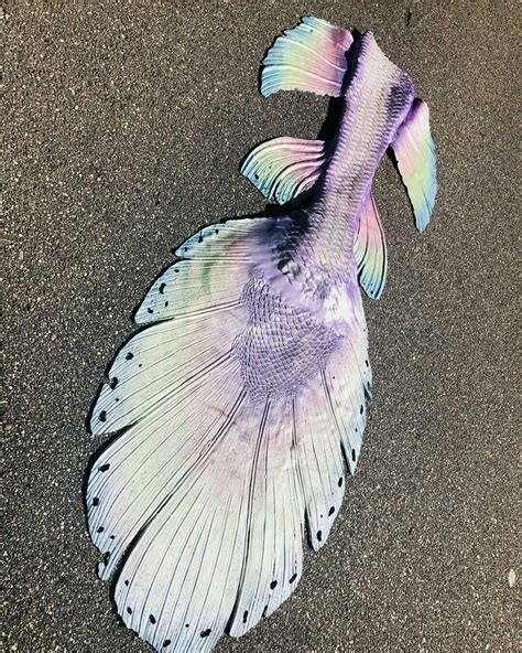 Pin By Ipa On Silicone Mermaid Tails Mermaid Tails Realistic Mermaid