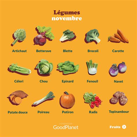 Le calendrier GoodPlanet des fruits et légumes de saison novembre 2023