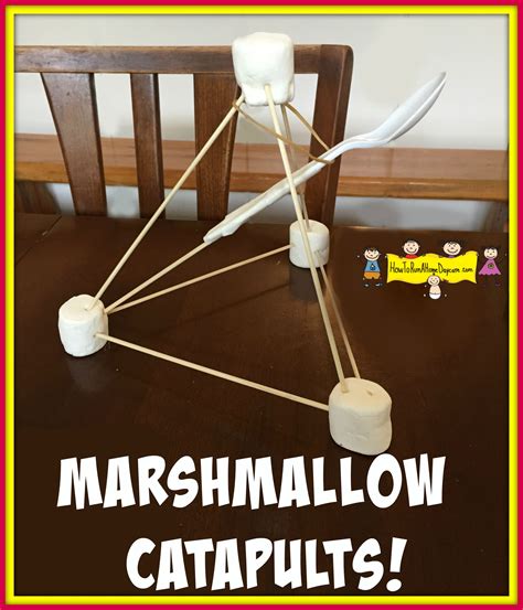 Marshmallow Catapults How To Run A Home Daycare