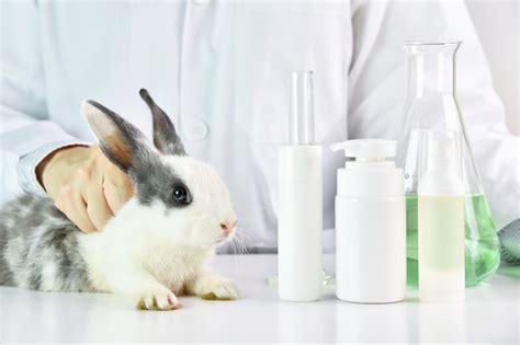 Animal testing: the truth about cruelty free labels used ...