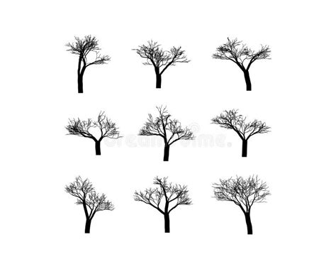 Black Branch Tree Or Naked Trees Silhouettes Set Hand Drawn Isolated Illustrations Stock