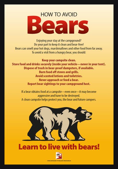 Bear Safety Campaign On Behance