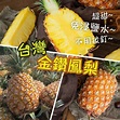台灣金鑽鳳梨10kg(6-8個) 【獨立發貨】|台灣屏東的金鑽鳳梨|極品金鑽鳳梨