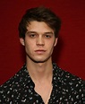Colin Ford - Biography, Height & Life Story | Super Stars Bio