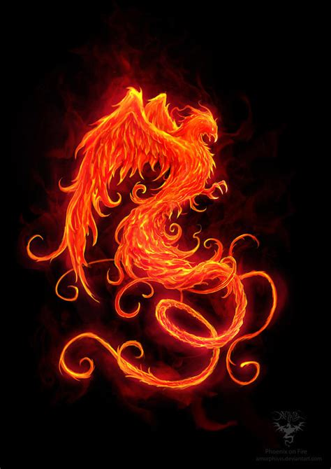 Phoenix On Fire By Amorphisss On Deviantart Phoenix Tattoo Phoenix