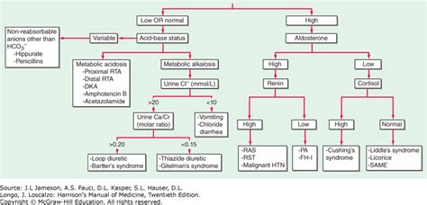 Hypokalemia Harrisons Manual Of Medicine