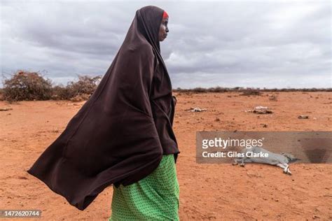 Somalia Dead Somali Photos And Premium High Res Pictures Getty Images