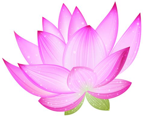 Lotus Flower Png Transparent Image Download Size 600x487px