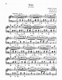 Waltz In B Minor, Op. 69, No. 2 sheet music by Frederic Chopin (Piano ...