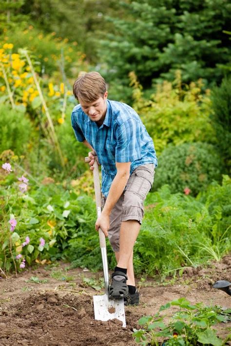 Gardening Man Digging Over The Soil Stock Photo Image Of Field