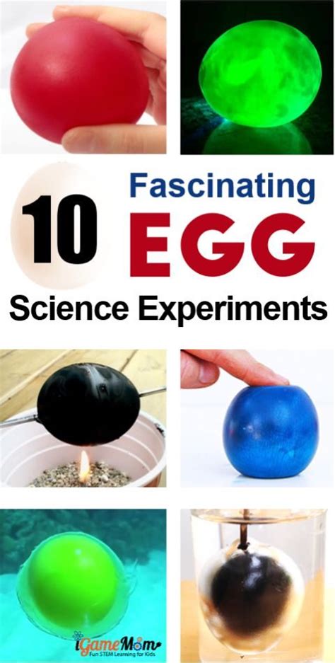 20 fun and easy science experiments for kids. 11 Fascinating Egg Science Experiments for Kids