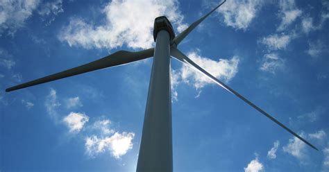 Assessing Impact Of Noise From Offshore Wind Farm Construction May Help