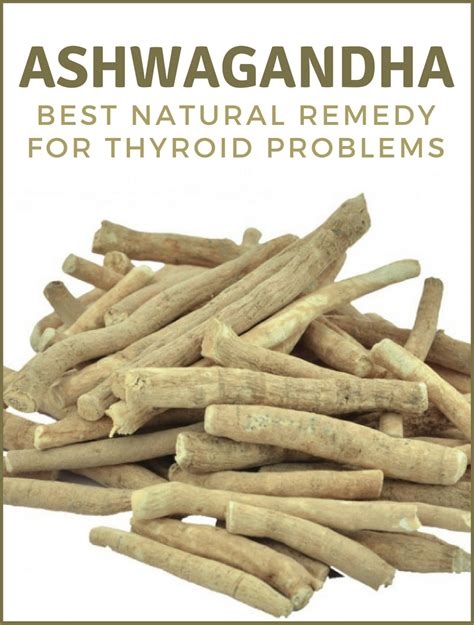 Ashwagandha Best Natural Remedy For Thyroid Problems Thyroid