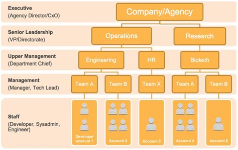 Amazon Hierarchy Chart In 2022 Hierarchy Agile Projec