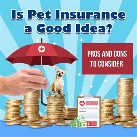 Affordable Pet Insurance Best Pet Insurance Plans And Coverage