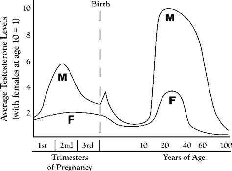 The Life Cycle Average Testosterone Levels For Males M And Females Download Scientific