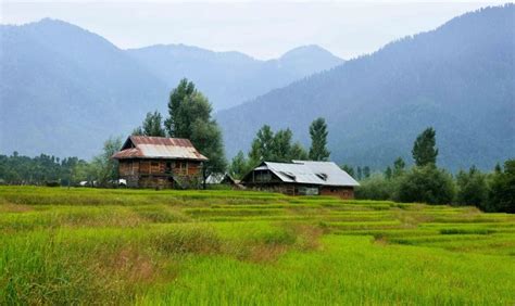 Travel Diary Lolab Valley Kashmir Travel Travel Diary Places To