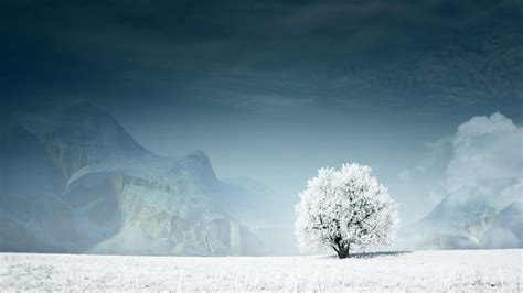 Lonely Winter Wallpapers Wallpaper Cave