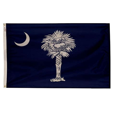 Valley Forge Flag 3 Ft X 5 Ft Nylon South Carolina State Flag Sc3