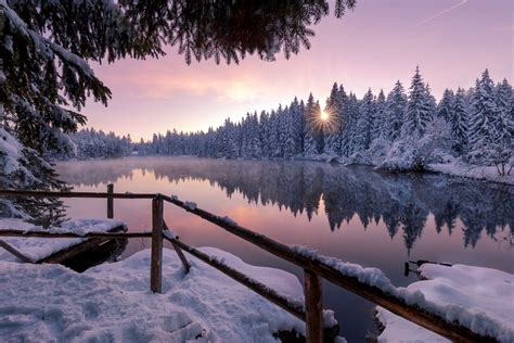2560x1707 Winter Snow Trees Nature Hd Lake Coolwallpapersme