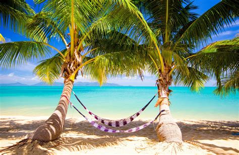 Tropical Sea Paradise Summer Sunshine Palms Beach Ocean Wallpapers Hd Desktop And
