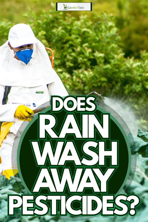Does Rain Wash Away Pesticides