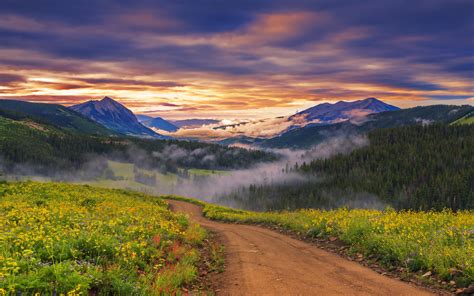 Landscape Nature Mountain Meadow With Flowers Herbs Country Road