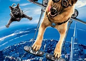 Cani & gatti: La vendetta di Kitty Galore 3D (Film 2010): trama, cast ...
