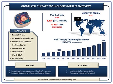 Cell Therapy Technologies Market Size And Share Forecast 2030