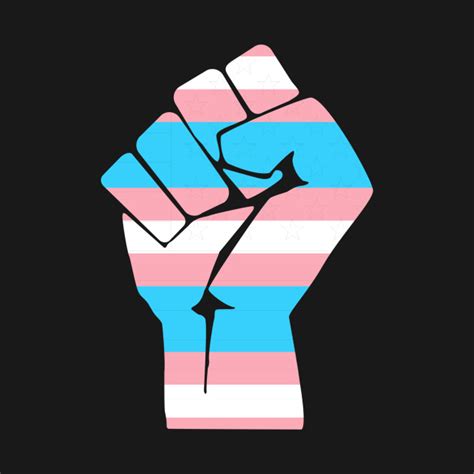 Resist Fist Transgender Flag Trans Pride Transgender Pride T Shirt Teepublic