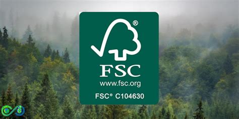 ¿qué Es El Certificado Fsc Csr Consulting