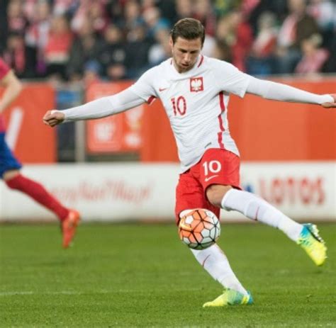 Check spelling or type a new query. sp-Fußball-EM-2012-Polen-Krychowiak-Meldung: Krychowiak ...