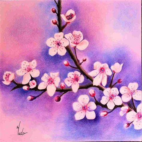 Colored Pencil Flower Drawings At PaintingValley Com Explore