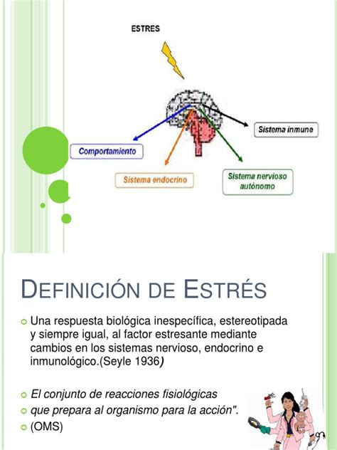 Presentacion Estres Estrés Biología Autosuperación