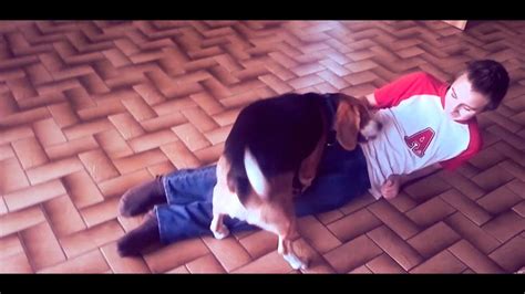 Junge Wird Von Hund Gefickt Unglaublich Youtube