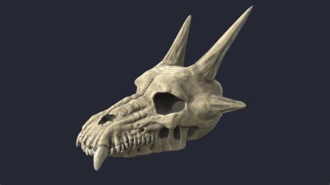 Dragon Skull Download Free 3d Model By Dgeraci 239e53d Sketchfab