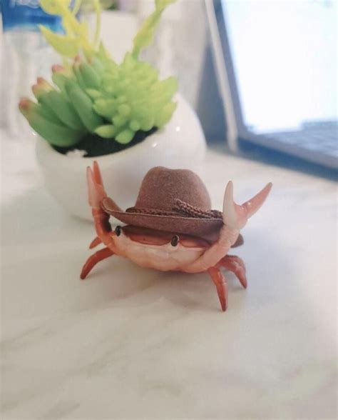 The Hat Makes The Crab Cute Little Animals Cute Funny Animals Baby