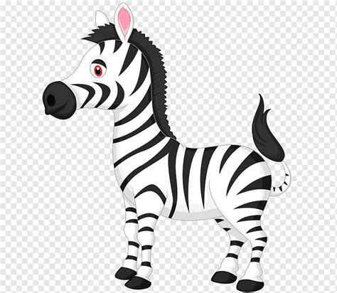 Gambar Kartun Zebra 97 Gambar Kartun Zebra Images Ilustrasi