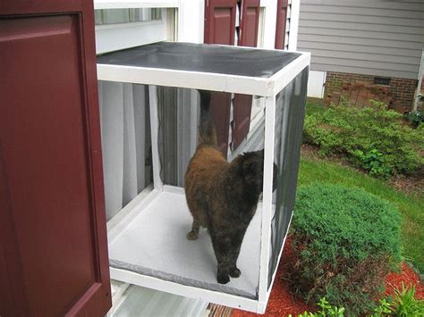 Is your pet a house cat with an outdoor adventurer. Cat Window Box 001 | Cat window, Cat window perch, Cat ...
