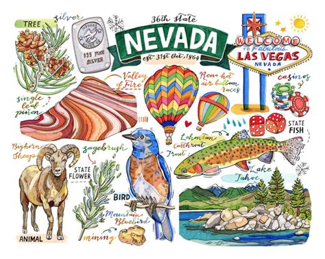 Nevada State Print State Symbols Illustration State Art Etsy
